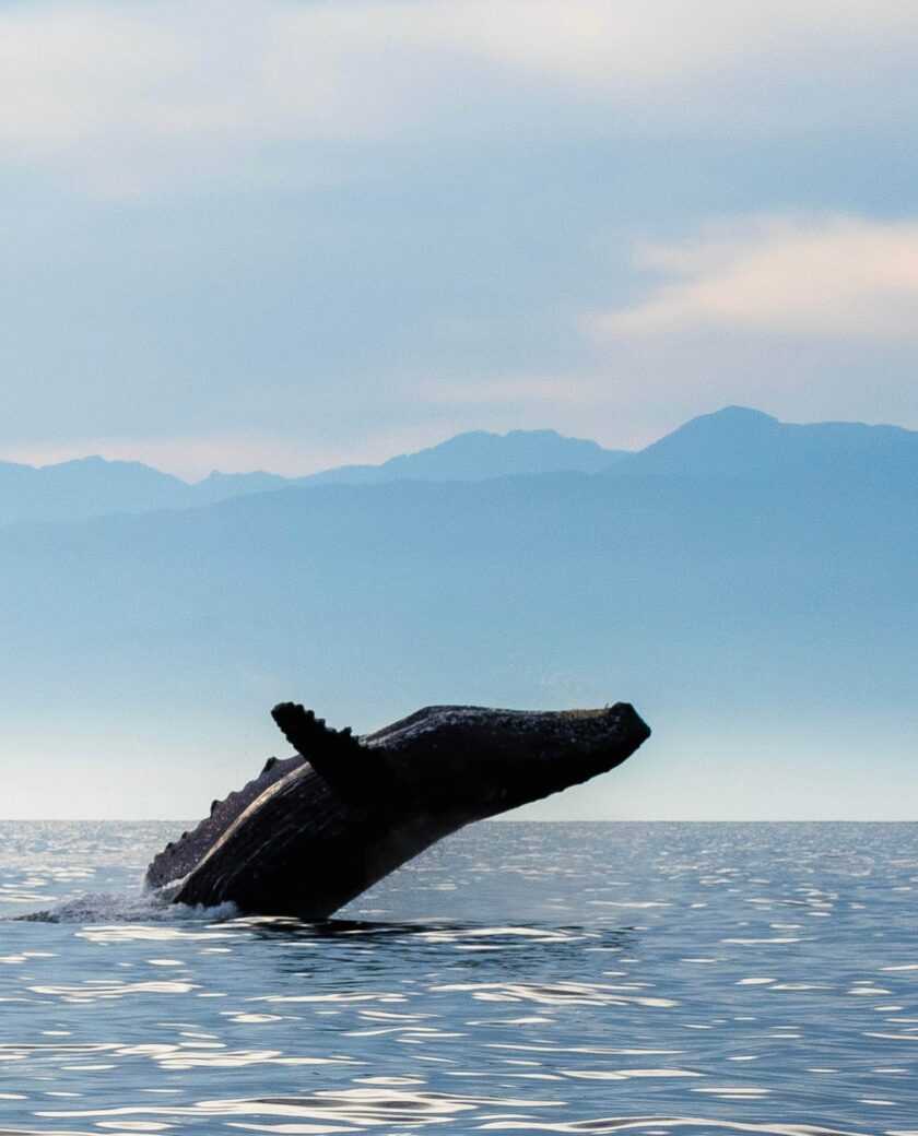 Kaikoura