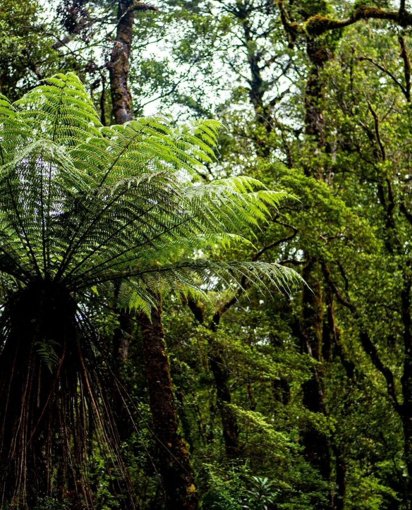 ICHST25 tonia kraakman 9u CKD Ff Vxx8 unsplash