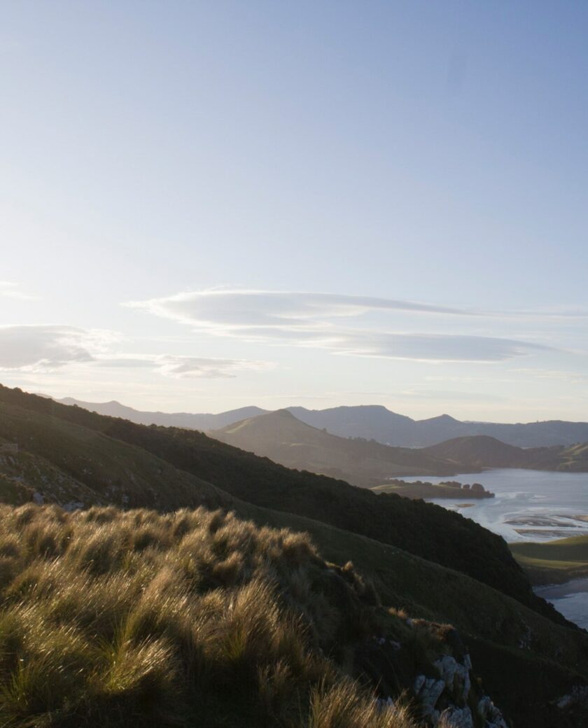 Mathew waters pp83h B Lphw8 unsplash